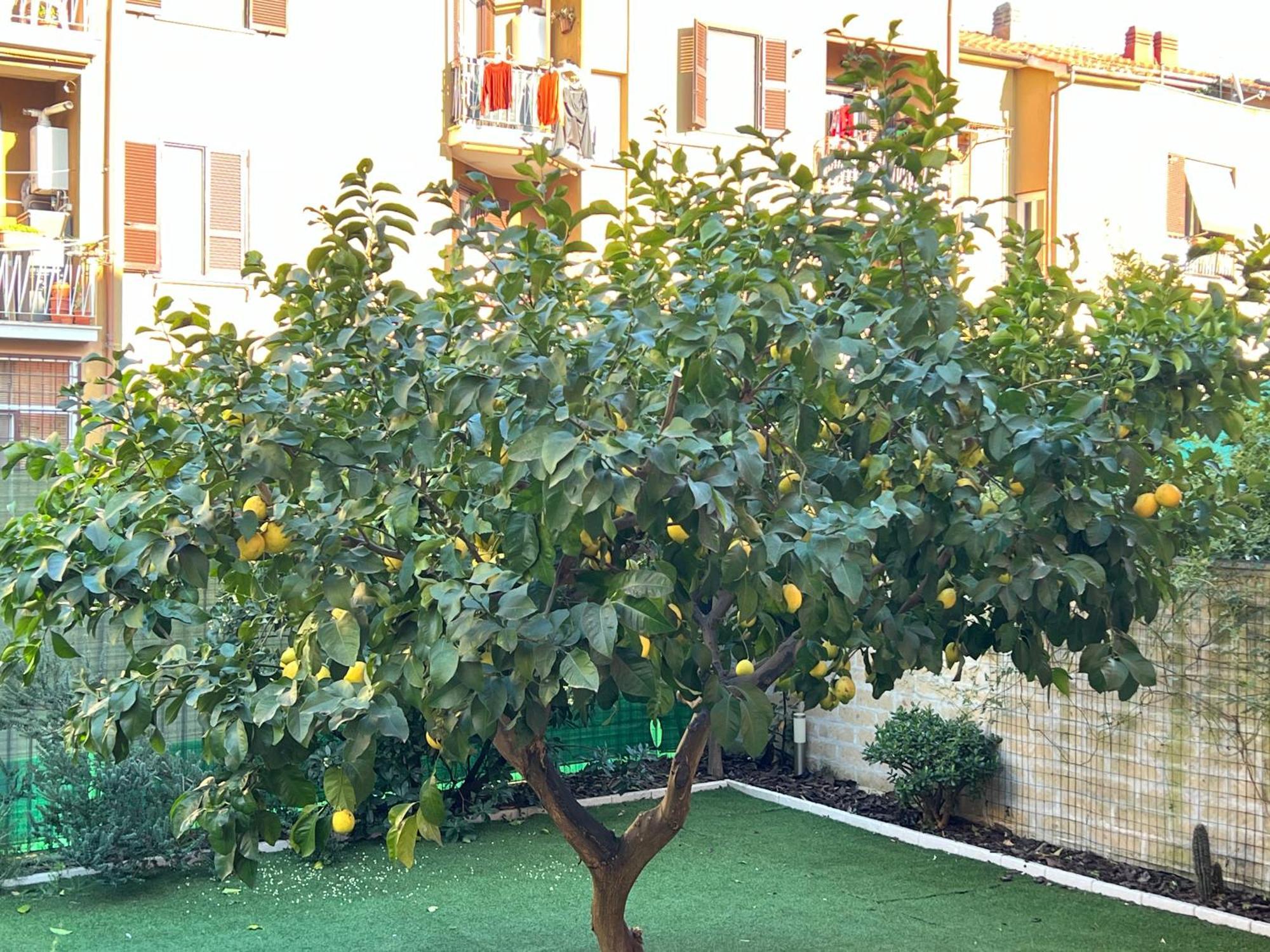 Ferienhaus Casa Paestum. Your Wonderful Garden In Rom